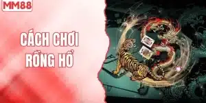 Cách chơi rồng hổ tại MM88